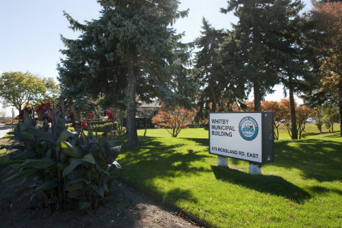Town hall in Ontario surrounded by trees